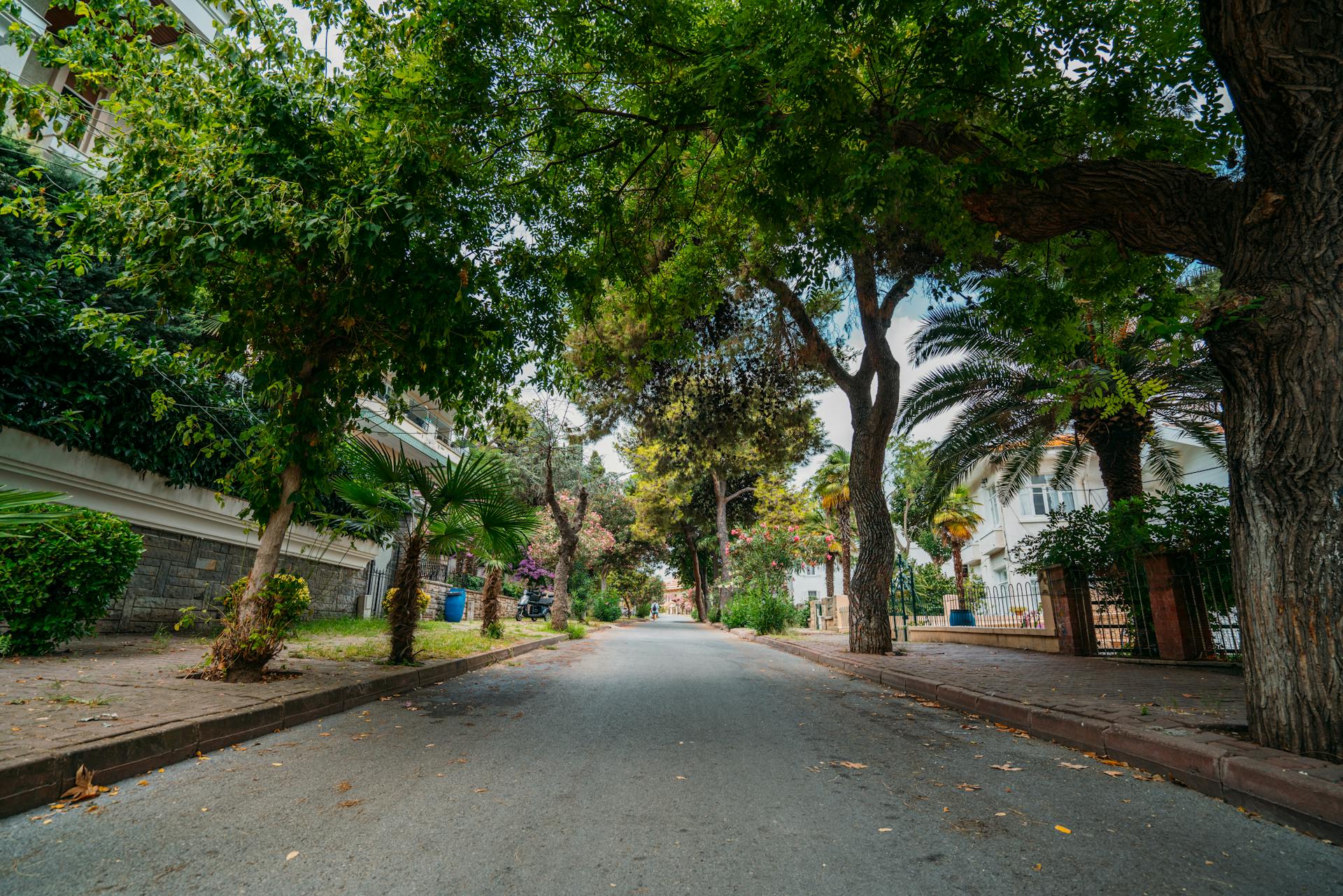 San Antonio, el barrio más residencial de Miraflores Lima